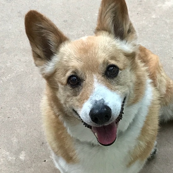 Meet your Posher, Karen - Picture 6 of 8